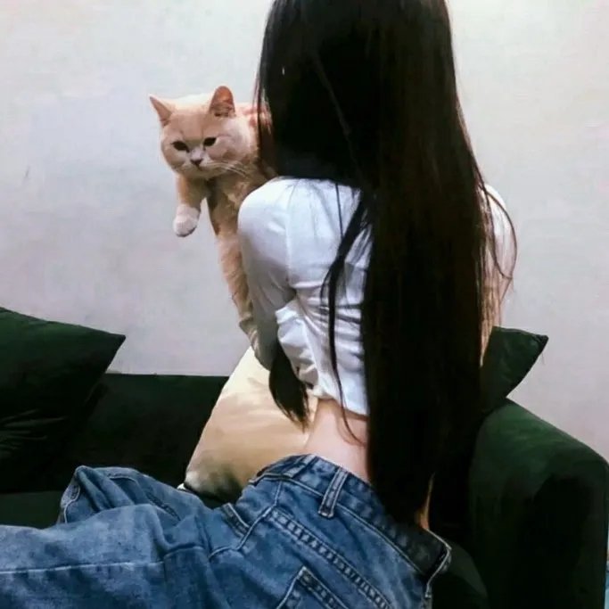 猫咪情缘